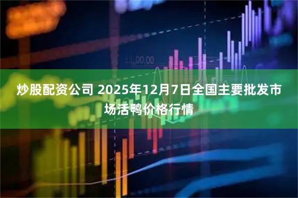 炒股配资公司 2025年12月7日全国主要批发市场活鸭价格行情
