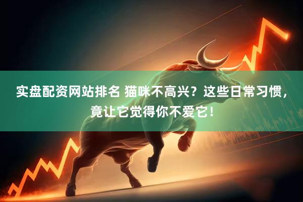 实盘配资网站排名 猫咪不高兴?这些日常习惯,竟让它觉得你不爱它!